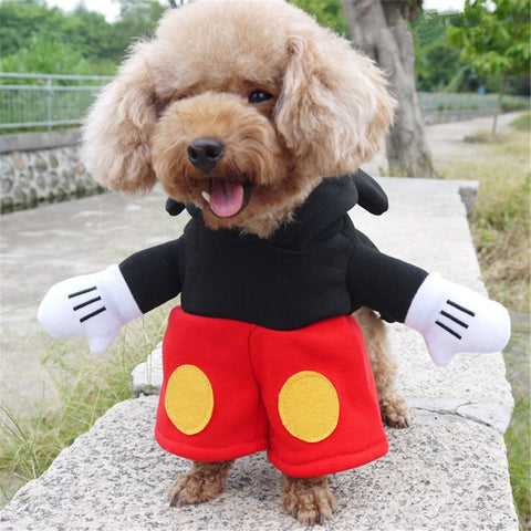 Mickey Mouse Dog Costume